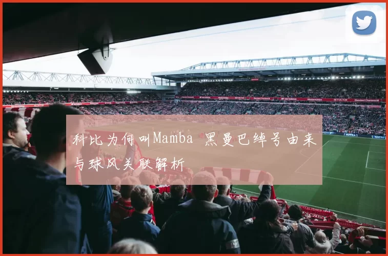 科比为何叫Mamba 黑曼巴绰号由来与球风关联解析
