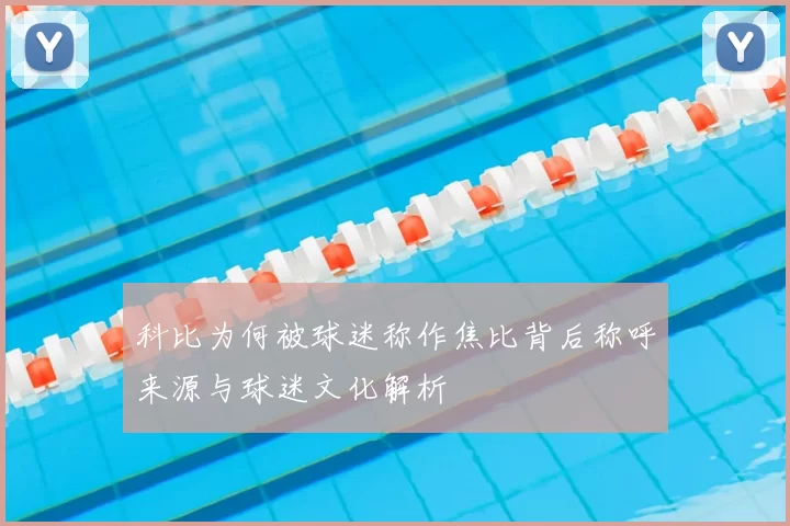 科比为何被球迷称作焦比背后称呼来源与球迷文化解析