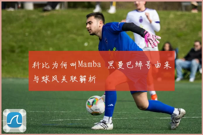 科比为何叫Mamba 黑曼巴绰号由来与球风关联解析