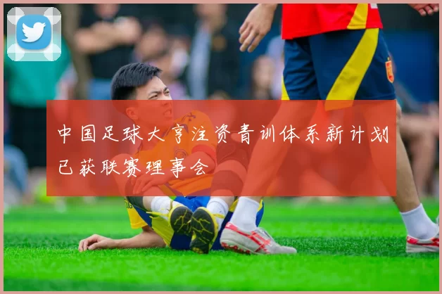 中国足球大亨注资青训体系新计划已获联赛理事会