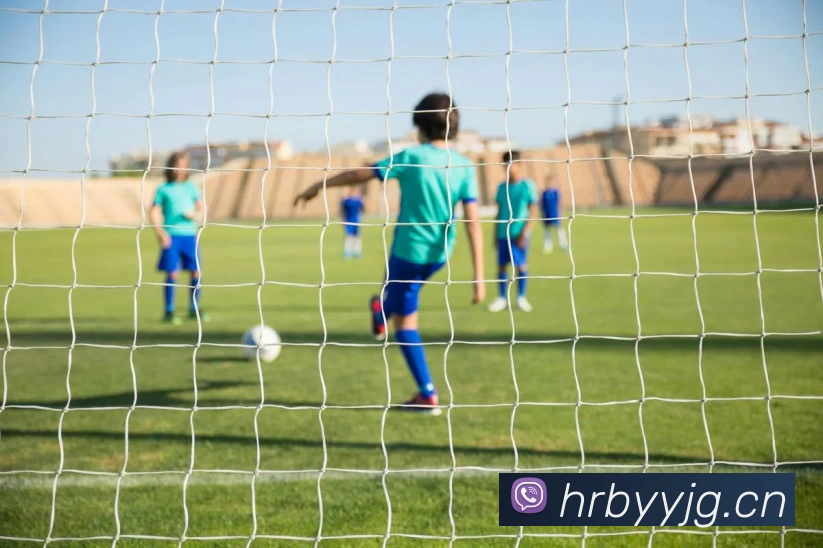 半岛官网手机版登录APP 封面图